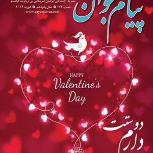 Payam Javan - February 2024