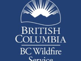 BCWS