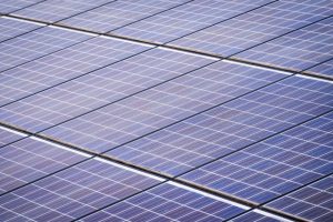 Assessing the Environmental and Economic Legacy of the Ivanpah Solar Power Plant