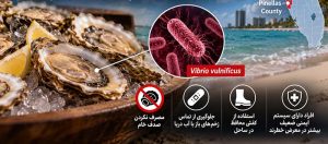 Florida Records Fifth Vibrio vulnificus Death of 2026 in Pinellas County