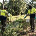 West Nile Virus Cases Rise Across the United States Resulting in Fatalities